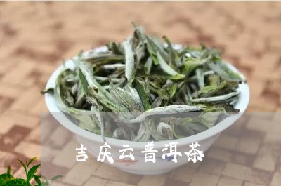 吉庆云普洱茶/2023042765952