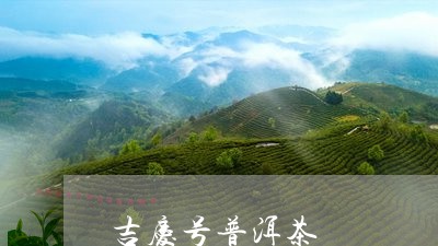 吉庆号普洱茶/2023042944672