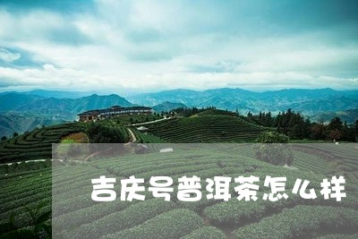 吉庆号普洱茶怎么样/2023062136946