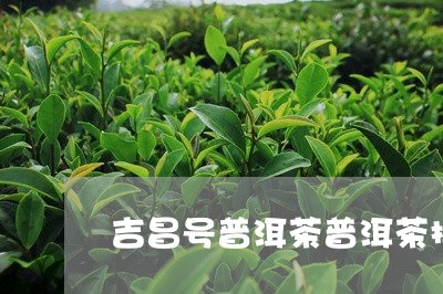 吉昌号普洱茶普洱茶排名第一名/2023053090572