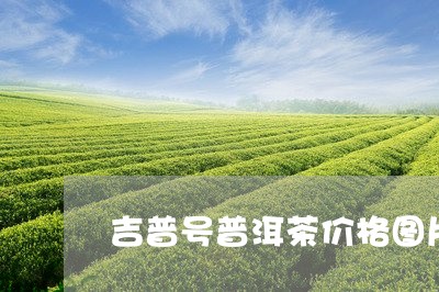 吉普号普洱茶价格图片/2023100895140