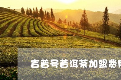 吉普号普洱茶加盟费用/2023092512817