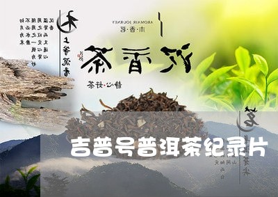 吉普号普洱茶纪录片/2023091573847