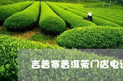 吉普赛普洱茶门店电话/2023121558150