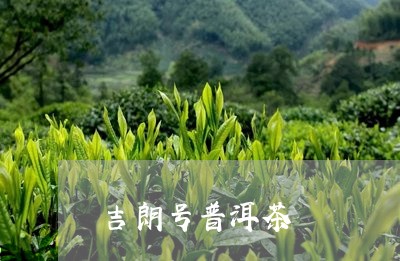 吉朗号普洱茶/2023102592613