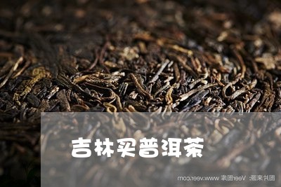 吉林买普洱茶/2023042658089