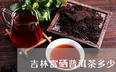 吉林富硒普洱茶多少钱/2023072206371