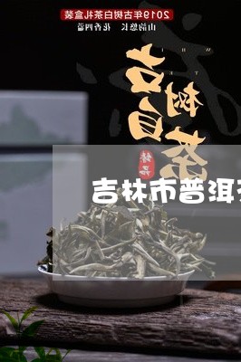 吉林市普洱茶/2023042764017