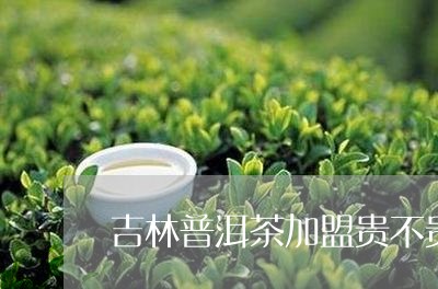 吉林普洱茶加盟贵不贵/2023092580393