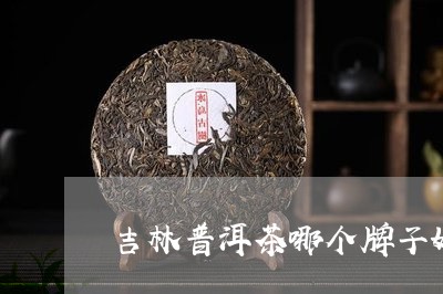 吉林普洱茶哪个牌子好/2023073151738