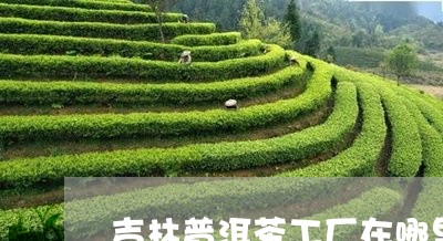 吉林普洱茶工厂在哪里呀/2023081438692