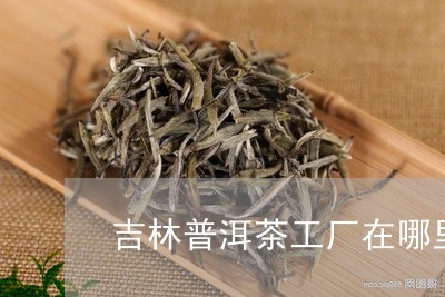 吉林普洱茶工厂在哪里有/2023050648259