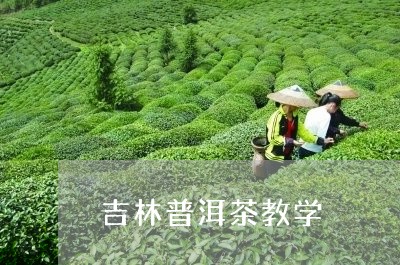 吉林普洱茶教学/2023102615038