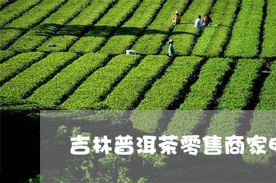 吉林普洱茶零售商家电话/2023120728473