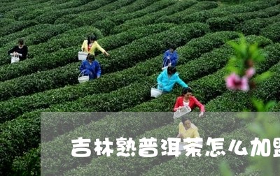 吉林熟普洱茶怎么加盟的/2023121546161