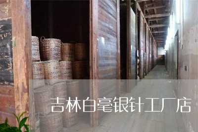 吉林白毫银针工厂店/2023121889472