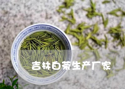 吉林白茶生产厂家/2023061371615