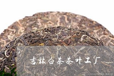 吉林白茶茶叶工厂/2023061365040