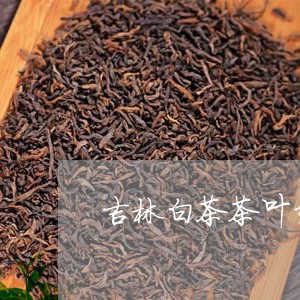 吉林白茶茶叶经销商/2023121853959