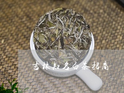 吉林知名白茶招商/2023061311502