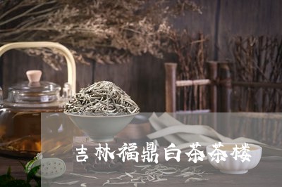 吉林福鼎白茶茶楼/2023061302705