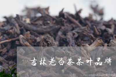 吉林老白茶茶叶品牌/2023121811796