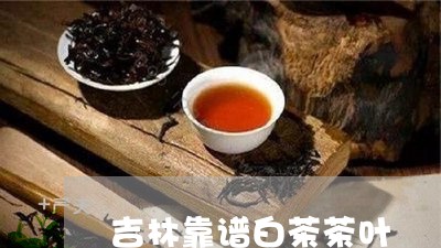 吉林靠谱白茶茶叶/2023061374937