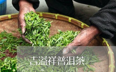 吉溢祥普洱茶/2023042538901