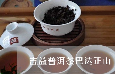 吉益普洱茶巴达正山/2023070936159