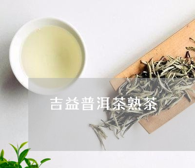 吉益普洱茶熟茶/2023081872738