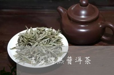 吉益牌熟普洱茶/2023080224048