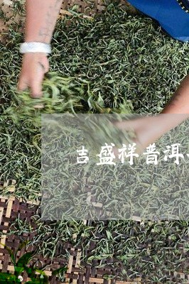 吉盛祥普洱茶七福临门/2023072302835