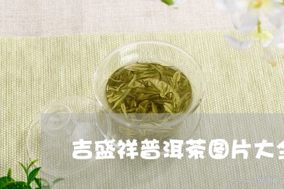 吉盛祥普洱茶图片大全/2023082941381