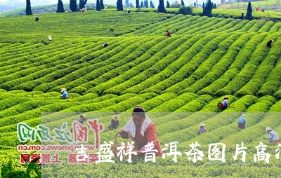 吉盛祥普洱茶图片高清/2023082973946