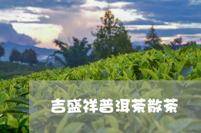 吉盛祥普洱茶散茶/2023120455036