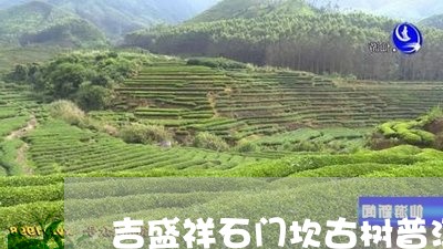 吉盛祥石门坎古树普洱茶/2023120767250