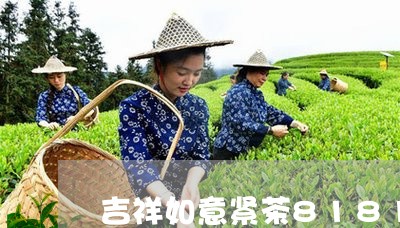 吉祥如意紧茶8181价格/2023051197251