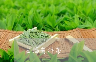 吉福普洱茶/2023090624170