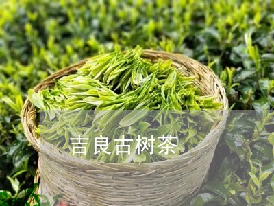 吉良古树茶/2023041765822