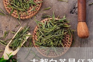 吉都白茶是红茶吗/2023061394260