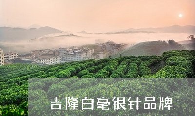 吉隆白毫银针品牌/2023061362925