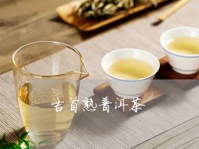 吉首熟普洱茶/2023042700023