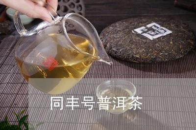 同丰号普洱茶/2023042539008