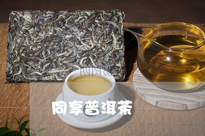 同享普洱茶/2023081897251