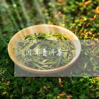 同享普洱茶/2023102558170