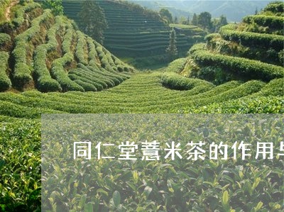 同仁堂薏米茶的作用与功效/2023051138282