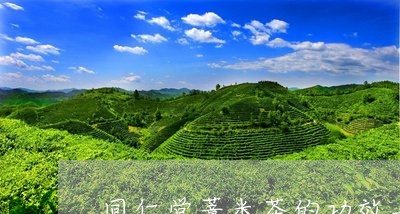同仁堂薏米茶的功效与作用/2023051189472