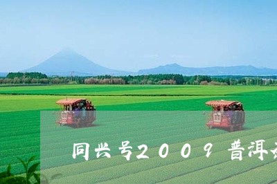 同兴号2009普洱茶/2023100813025