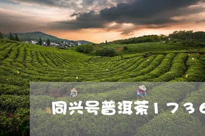 同兴号普洱茶1736/2023100862715