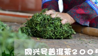 同兴号普洱茶2005/2023080291607